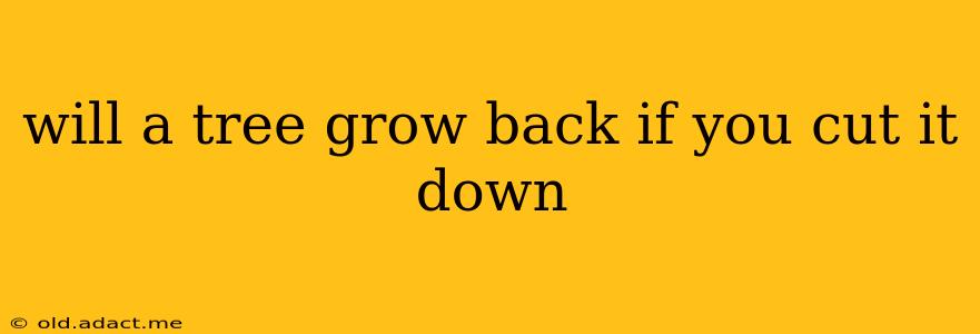 will a tree grow back if you cut it down
