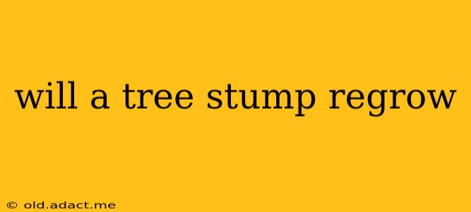 will a tree stump regrow