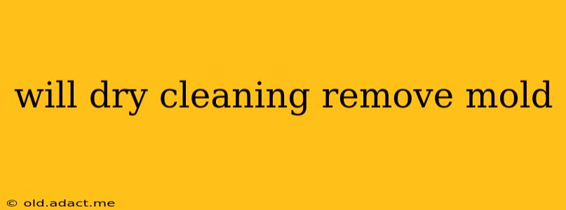 will dry cleaning remove mold