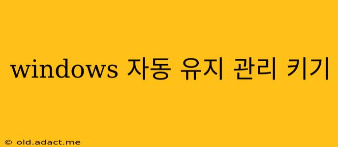 windows 자동 유지 관리 키기