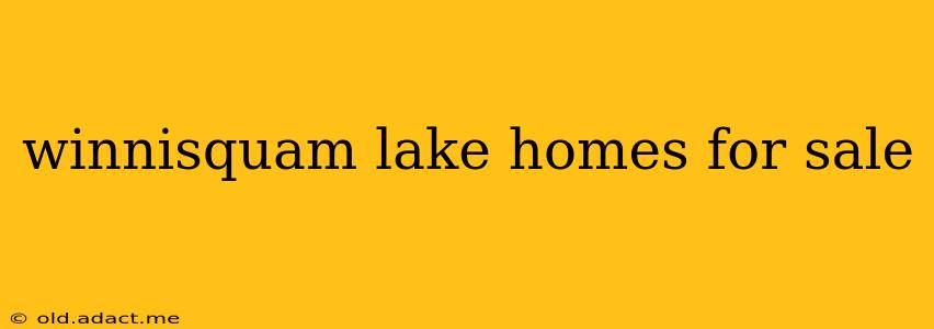 winnisquam lake homes for sale