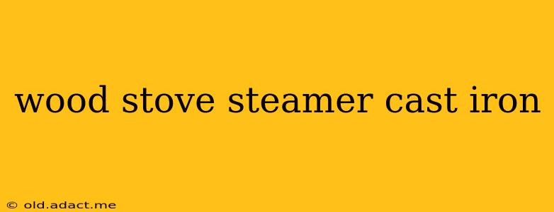 wood stove steamer cast iron
