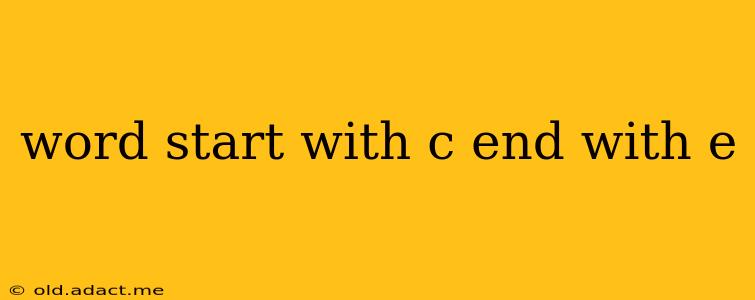 word start with c end with e