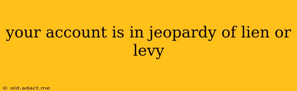 your account is in jeopardy of lien or levy
