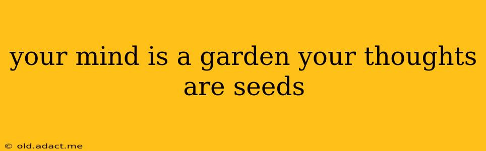 your mind is a garden your thoughts are seeds