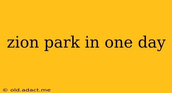 zion park in one day